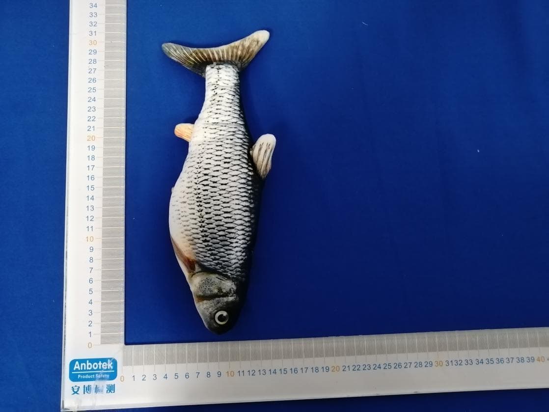 PetTec Plush Pet Toy Trout - FCC ID 2AONQ-PPTDT15966 - Stage10 GmbH (5)