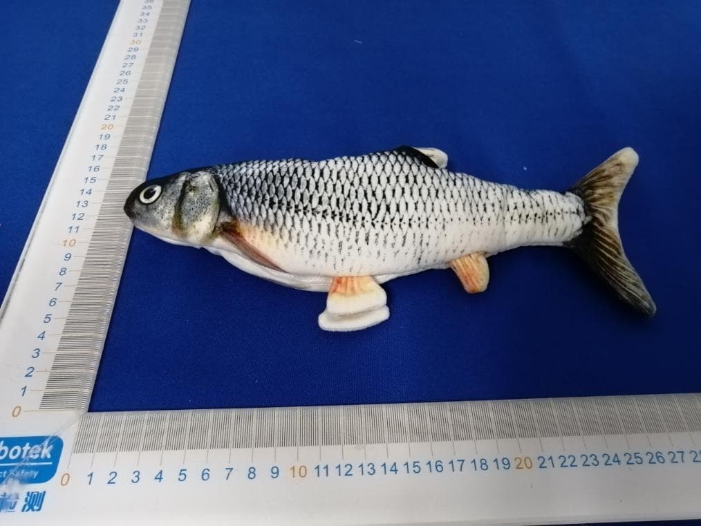 PetTec Plush Pet Toy Trout - FCC ID 2AONQ-PPTDT15966 - Stage10 GmbH (2)