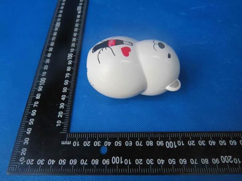 Wireless Speaker - FCC ID 2AOOY-23520 - Traly Hong Kong Limited (5)