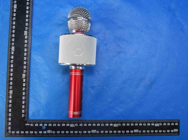 KARAOKE MICROPHONE - FCC ID 2AOOY-24365 - Traly Hong Kong Limited (2)