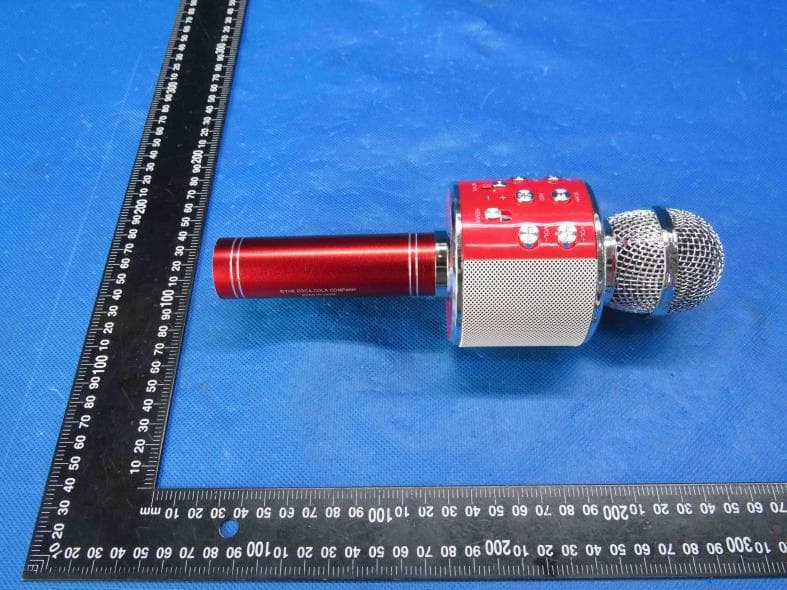 KARAOKE MICROPHONE - FCC ID 2AOOY-24365 - Traly Hong Kong Limited