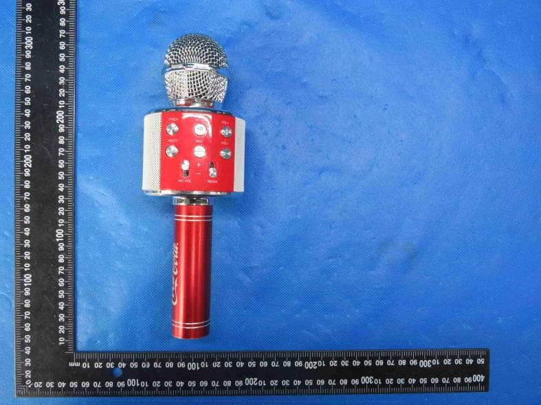 KARAOKE MICROPHONE - FCC ID 2AOOY-24365 - Traly Hong Kong Limited (4)