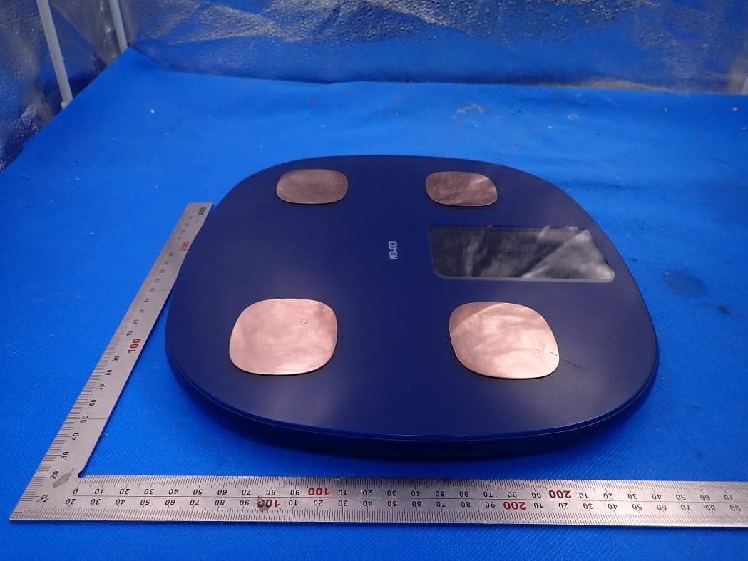 Smart Scale - FCC ID 2AP3Q-FG1919B - Guangdong Welland Technology Co., Ltd.