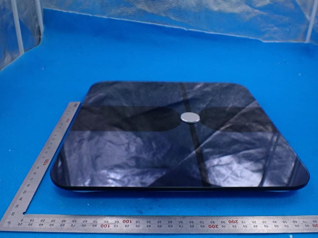 Smart Body Fat Scale - FCC ID 2AP3Q-FI2016BF - Guangdong Welland Technology Co., Ltd. (4)