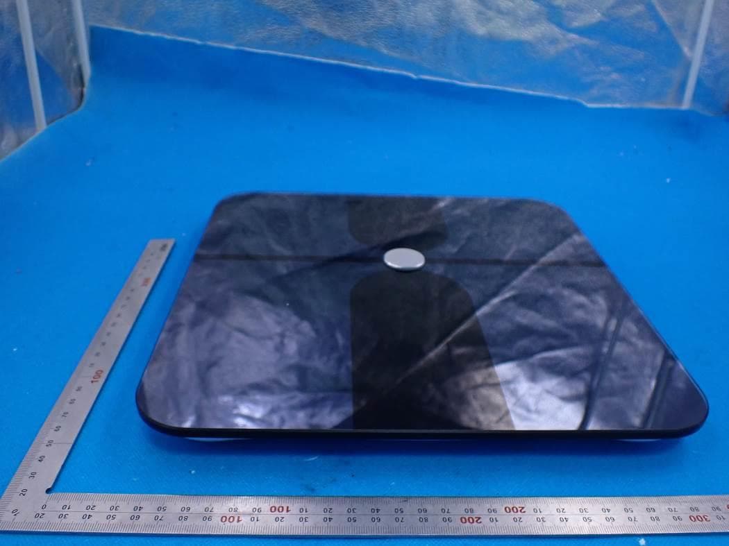 Smart Body Fat Scale - FCC ID 2AP3Q-FI2016BF - Guangdong Welland Technology Co., Ltd. (5)
