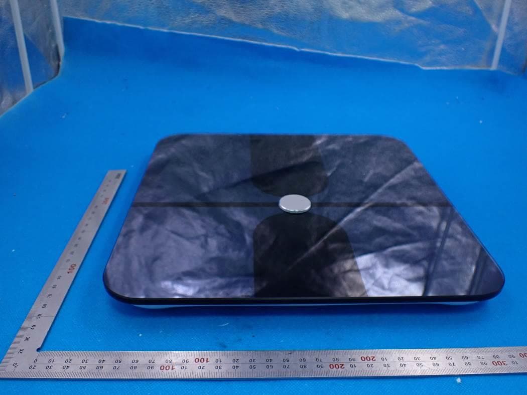 Smart Body Fat Scale - FCC ID 2AP3Q-FI2016BF - Guangdong Welland Technology Co., Ltd. (3)