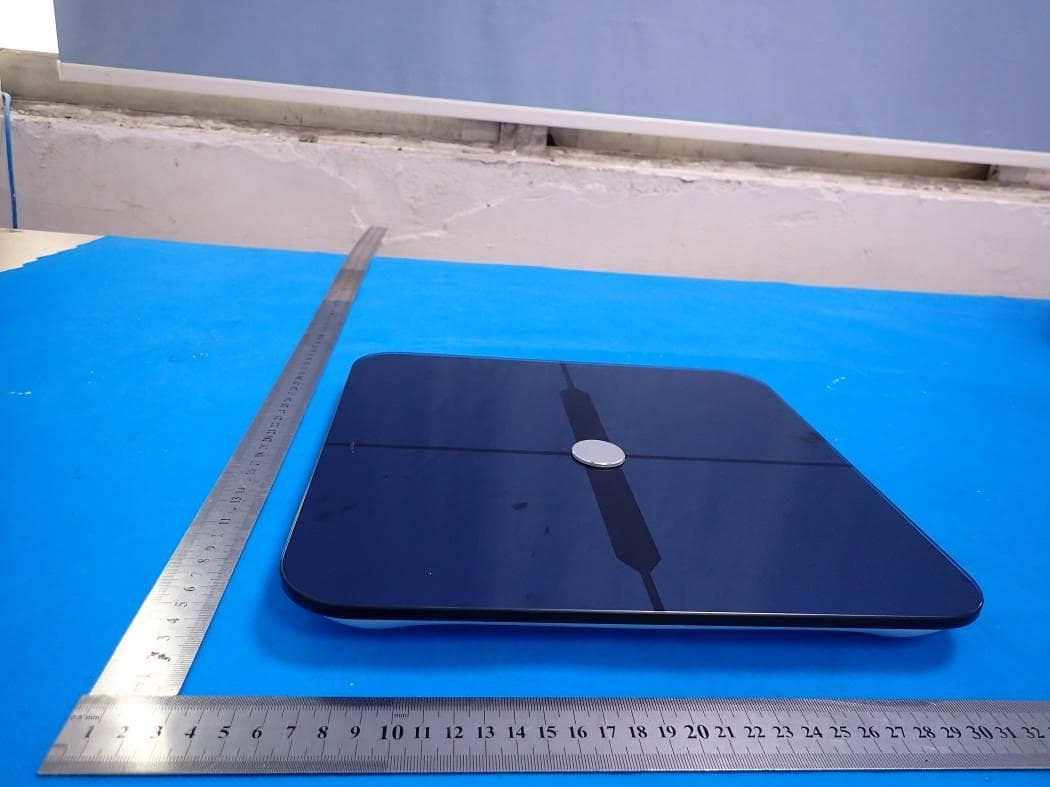 Smart Scale - FCC ID 2AP3Q-FI2016WB - Guangdong Welland Technology Co., Ltd. (3)