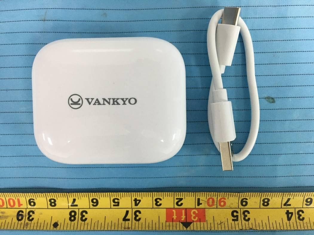 True Wireless Earbuds - FCC ID 2AQ3A-BTN10L - Shenzhen VanTop Technology & Innovation Co., Ltd.
