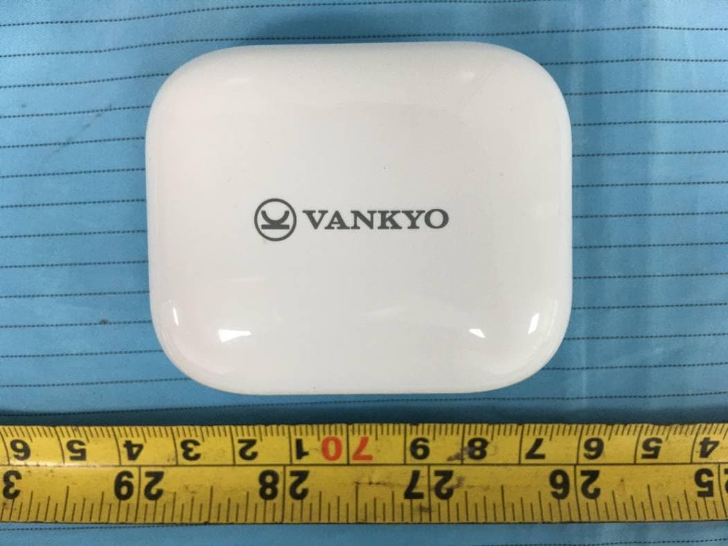 True Wireless Earbuds - FCC ID 2AQ3A-BTN10L - Shenzhen VanTop Technology & Innovation Co., Ltd. (3)