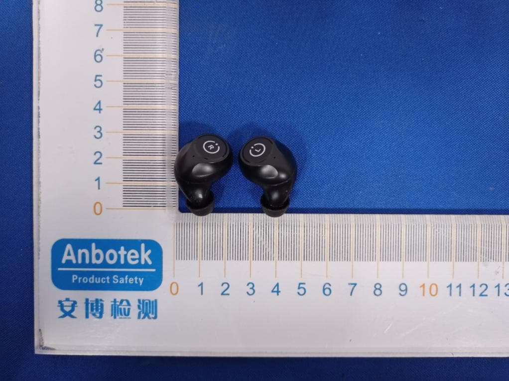 TRUE WIRELESS STEREO EARPHONES - FCC ID 2AQK8-D600 - Chandasung Tech (Shenzhen) Co., Ltd.