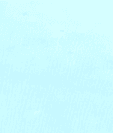 SmartPhone - FCC ID 2ARO3-WNEXT - Worldwide telecom limited (2)