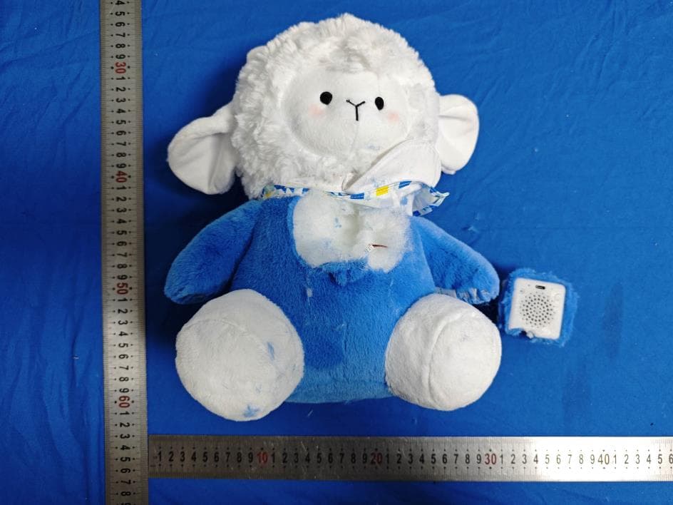 Baamy Al Interactive Plush Toy - FCC ID 2ASAQ-R10 - Hangzhou Vision Insight Technology Co., Ltd. (2)