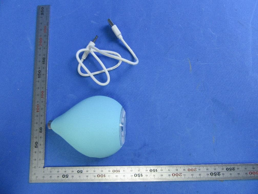 Pore suctioning devices - FCC ID 2AT72-KIWI - VIS (Shanghai) Technology Limited (4)