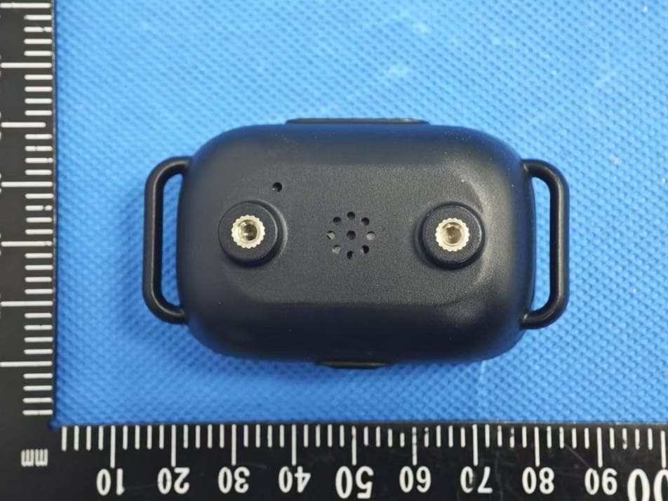Smart Remote Dog Trainer - FCC ID 2ATOXT800RX - Shenzhen Wellturn Technology Co., Ltd (2)