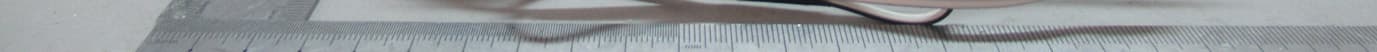DC Motor for Honeycomb Shades - FCC ID 2AU29AMPCEL0650 - Turnils North America (2)