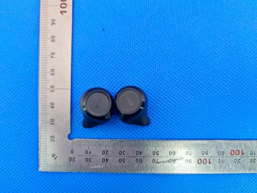 Wyze Buds - FCC ID 2AUIUWE1BLK - Wyze Labs, Inc. (2)