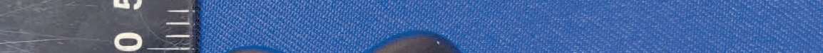Truly wireless earphone - FCC ID 2AVD2-MH21904 - Shenzhen Monster Creative Technology Co., Ltd. (4)