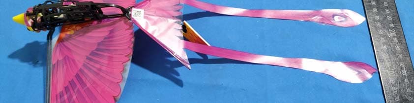Bionic Flapping-wing Bird - FCC ID 2AVNLGGBD01001 - Hanwang Technology Co., Ltd. (3)