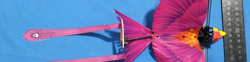 Bionic Flapping-wing Bird - FCC ID 2AVNLGGBD01001 - Hanwang Technology Co., Ltd. (4)