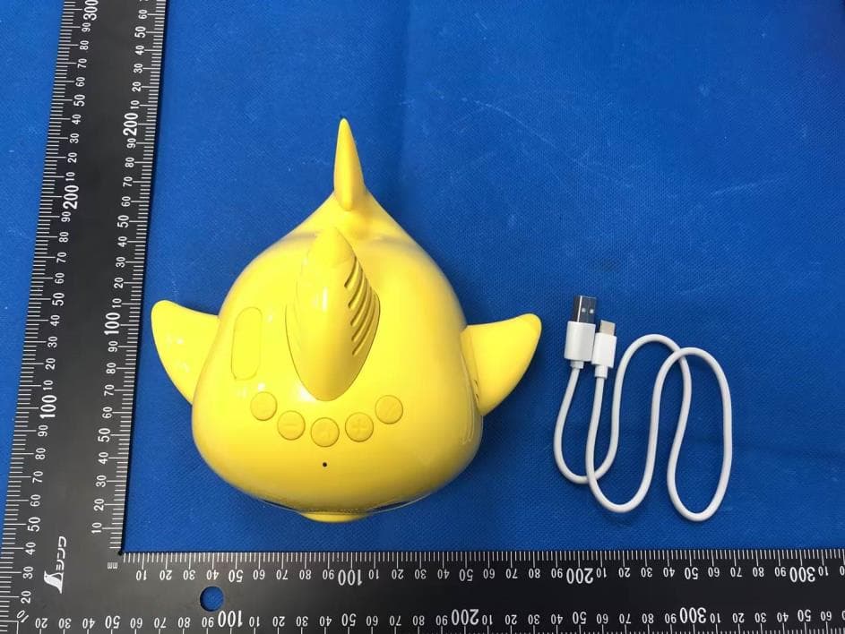 Floating Pool Speaker - FCC ID 2AVRVBSBT220 - DP AUDIO VIDEO LLC