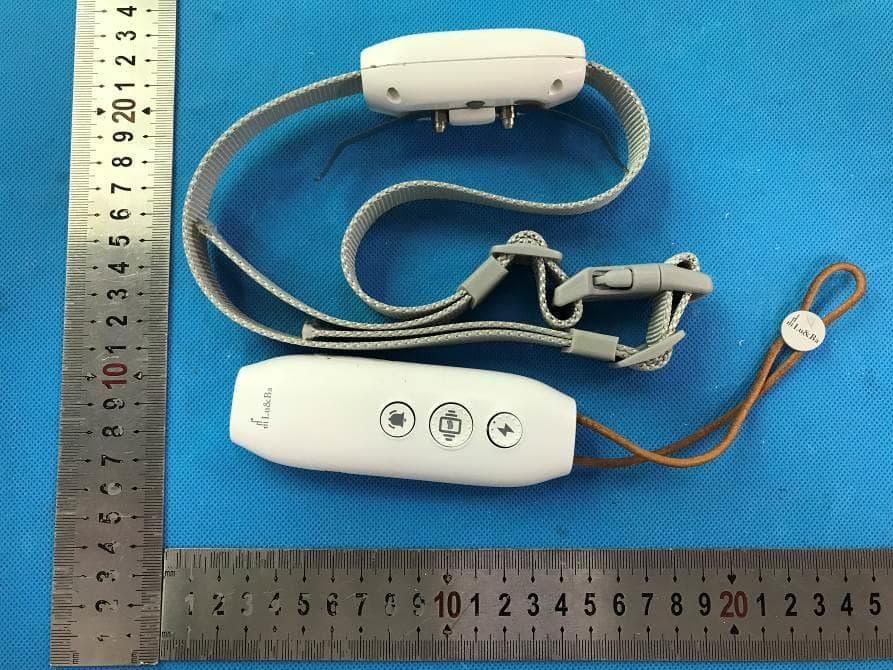 Pet polisher - FCC ID 2AW6W-DPA01-1 - Shenzhen Deji Innovation Industrial Co. , Ltd