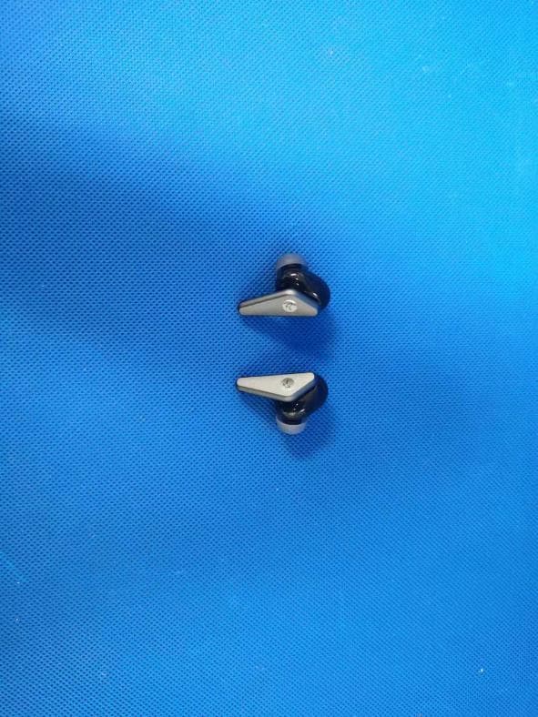BLUETOOTH EARPHONES - FCC ID 2AW92LTW600 - Little Bird Co., Ltd (2)