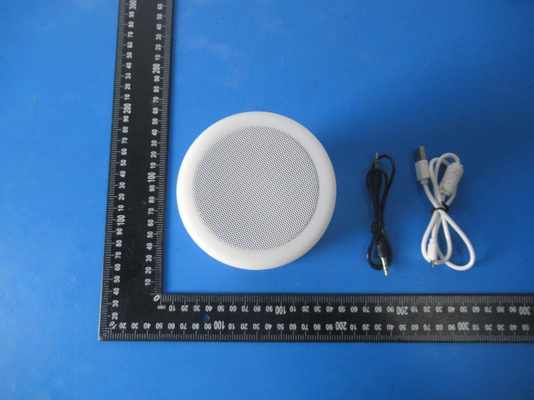 Pat lights bluetooth audio - FCC ID 2AW9J-S66 - Shenzhen Xindongsheng Electronic Technology Co., Ltd. (2)