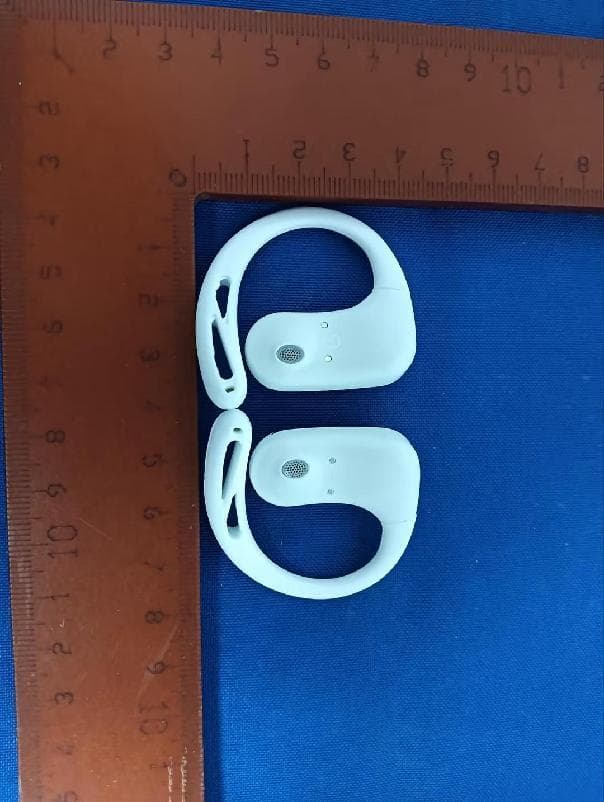 Translator Earbuds - FCC ID 2AWHA-565801 - Shenzhen Wooask Technology Co.,Ltd.