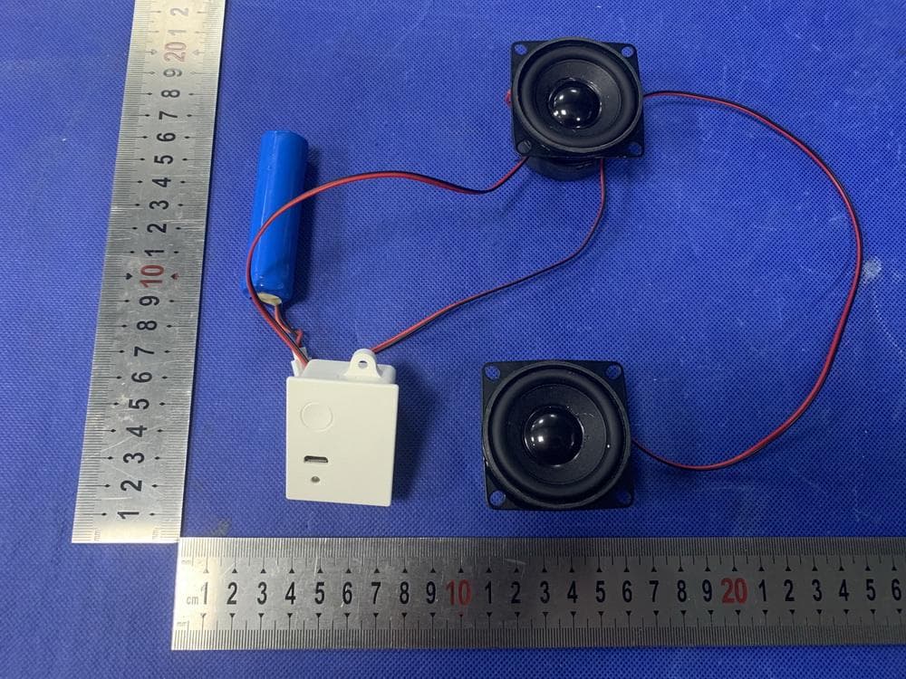 Speaker Mirror - FCC ID 2AWNF216222 - Shenzhen VITAL Trading Co., LTD.