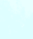 TD-LTE Smart Phone - FCC ID 2AWTK-CONQUEST-S16 - Shen Zhen Conquest Communication Equipment Co., Ltd. (4)