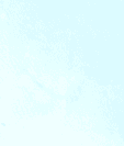TD-LTE Smart Phone - FCC ID 2AWTK-CONQUEST-S16 - Shen Zhen Conquest Communication Equipment Co., Ltd. (3)