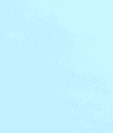 TD-LTE Smart Phone - FCC ID 2AWTK-S12PRO - Shen Zhen Conquest Communication Equipment Co., Ltd. (3)