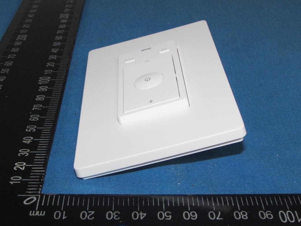 RAB Bluetooth Remote Control - FCC ID 2AXD8-LCBLUEREMOTE - Suzhou EICCOMM Technology CO., Ltd. (3)