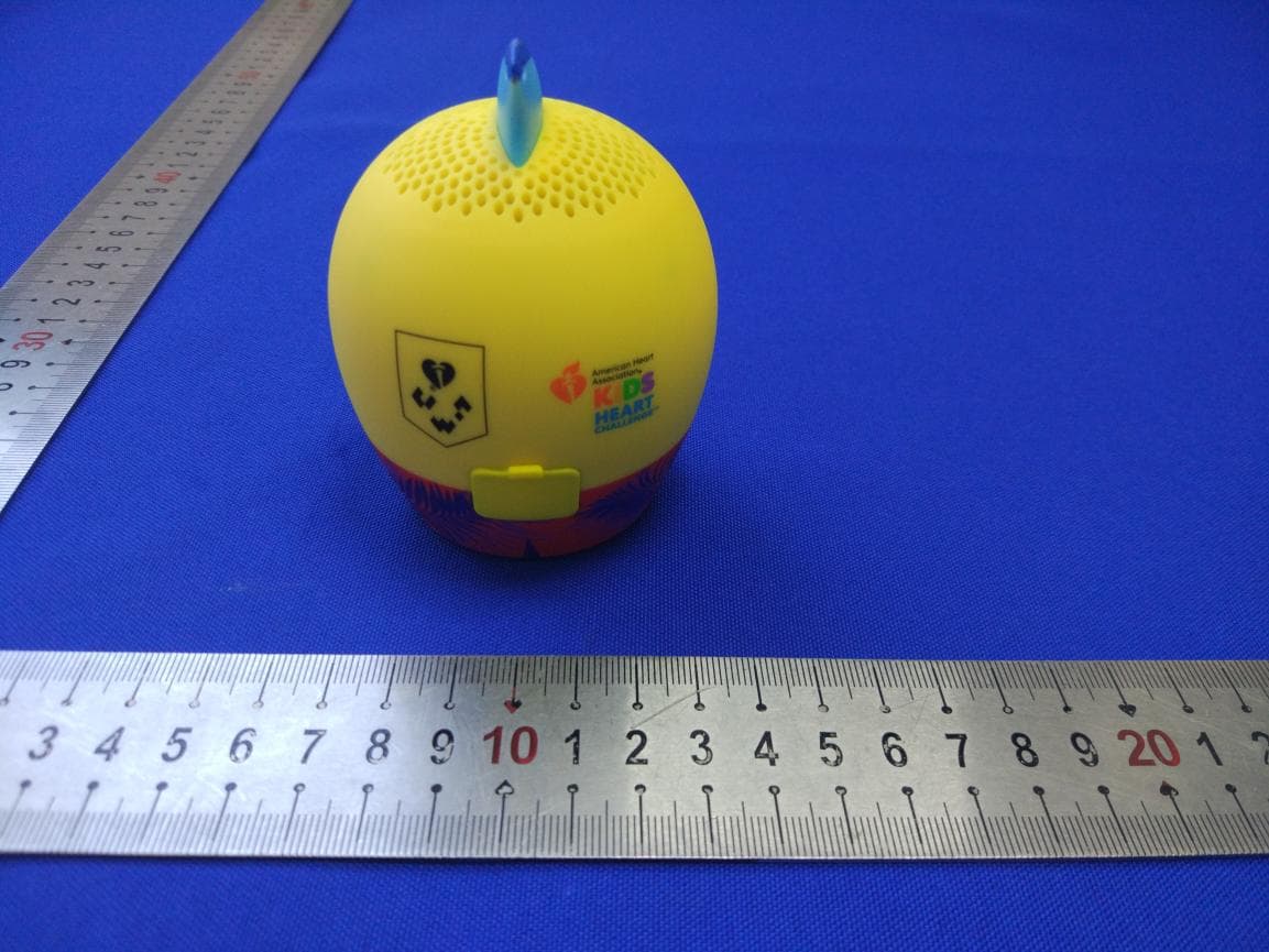 Bluetooth Speaker - FCC ID 2AXNLSPEAKER-21 - JAKAB SOLUTIONS INC (5)