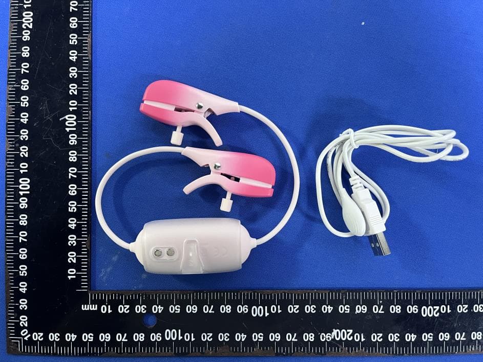 LOVENSE Gemini - FCC ID 2AXNT-GEMINI - HYTTO PTE. LTD.