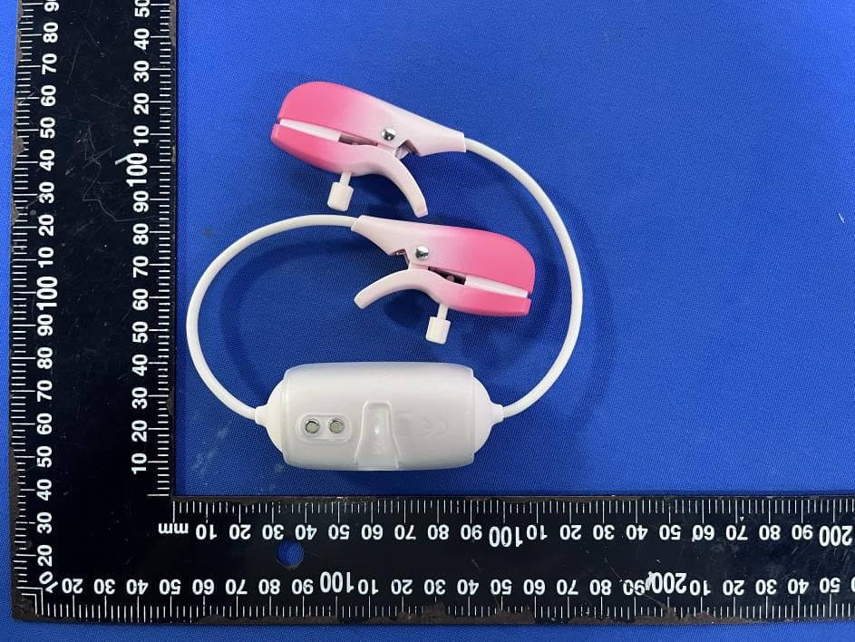 LOVENSE Gemini - FCC ID 2AXNT-GEMINI - HYTTO PTE. LTD. (2)
