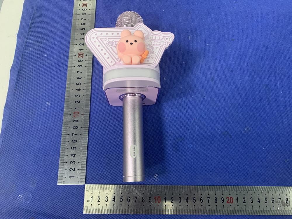 Bluetooth microphone speaker - FCC ID 2AXYZ-MININI-RMC - ROYCHE Co.,Ltd (2)