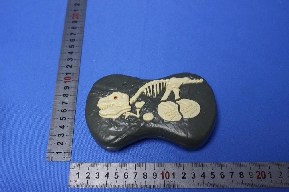 REMOTE CONTROLLED DINOSAUR SERIES - FCC ID 2AY2T13433333221 - SHANTOU SUNMIR TOYS FACTORY (5)