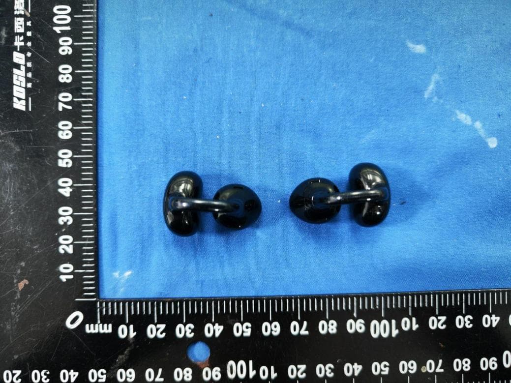 Wireless Earbuds - FCC ID 2BB37-ELLCSNDLP-1 - Electronic World LLC.