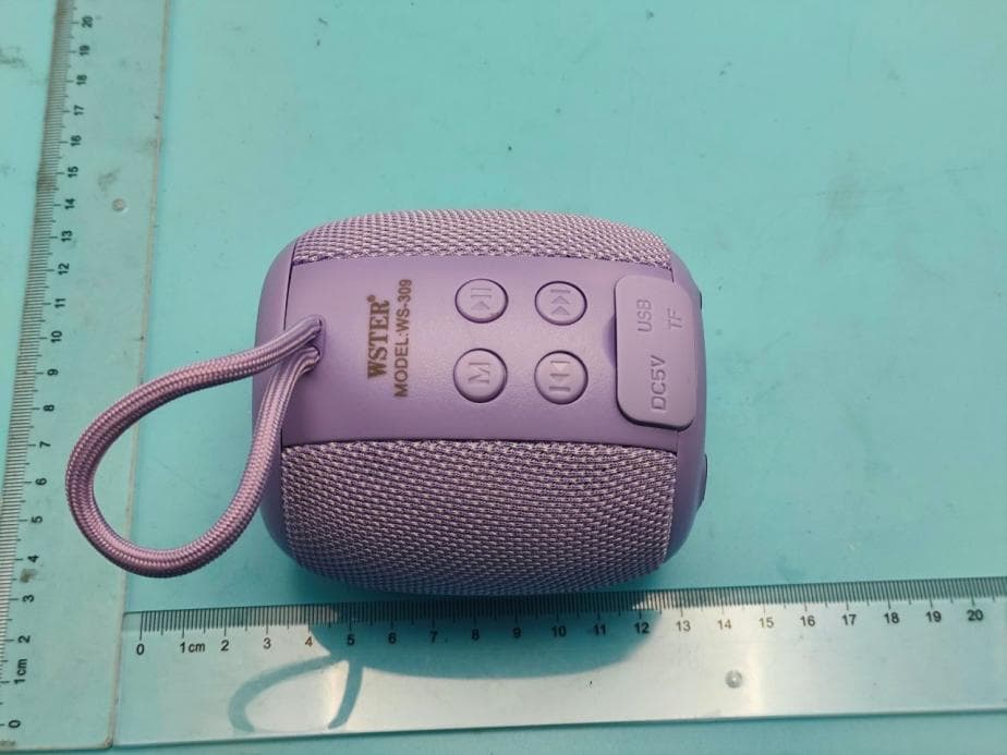 Wireless Speaker - FCC ID 2BBOI-WS1870 - Huizhou huayusi Technology Co., Ltd (2)