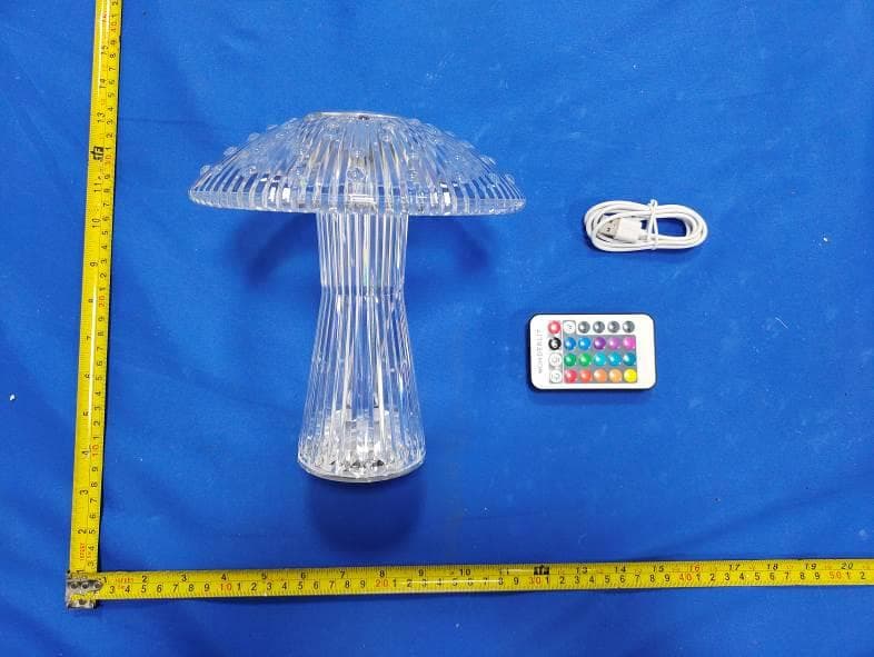 MUSHROOM LED SPEAKER LED LAMP - FCC ID 2BBPL-WL-MSLMSP - TRUSTSTONE GROUP, LLC (4)