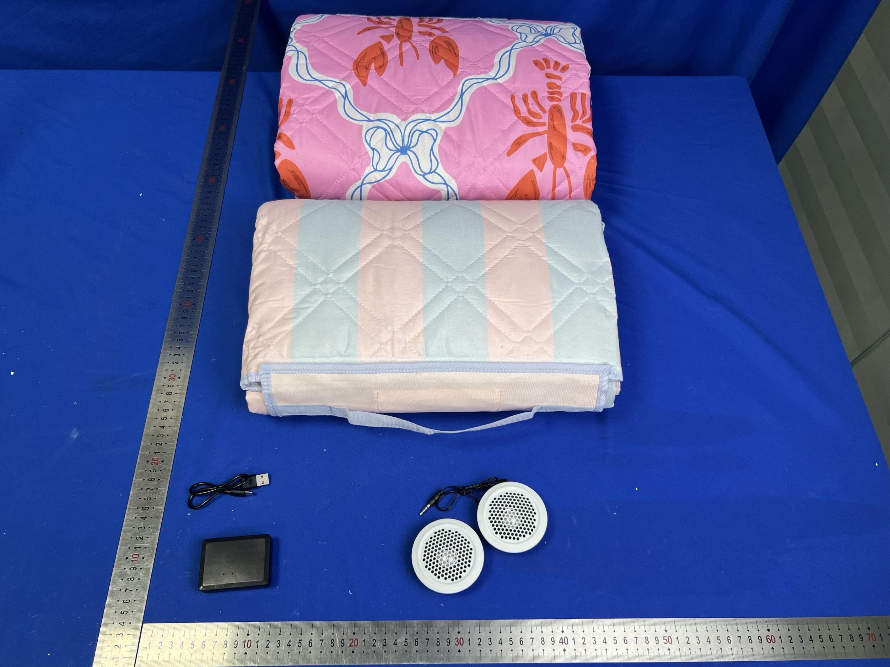 Blanket Speaker - FCC ID 2BBPLPYBLNKSPK - TRUSTSTONE GROUP, LLC (2)