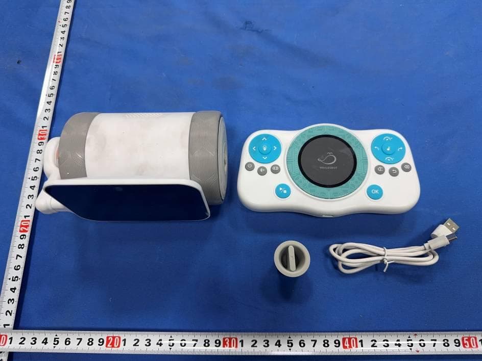 PUBBO - FCC ID 2BBTZ-PUBBO - Shanghai WhalesBot Technology Co., Ltd (4)