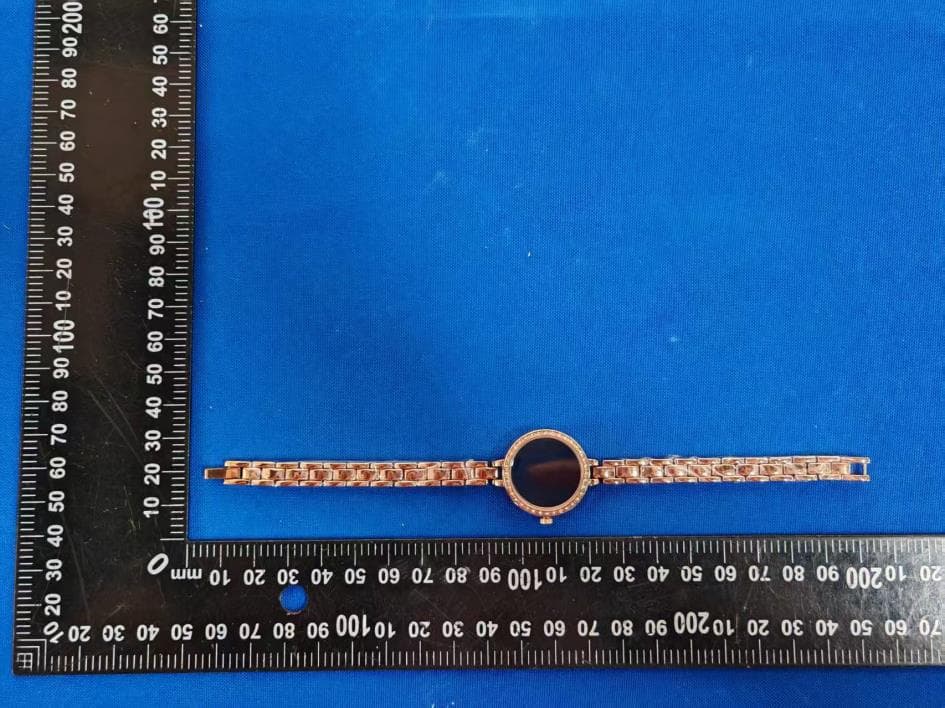 smart bracelet - FCC ID 2BCKX-L6 - Shenzhen Daiku Technology Co., Ltd.