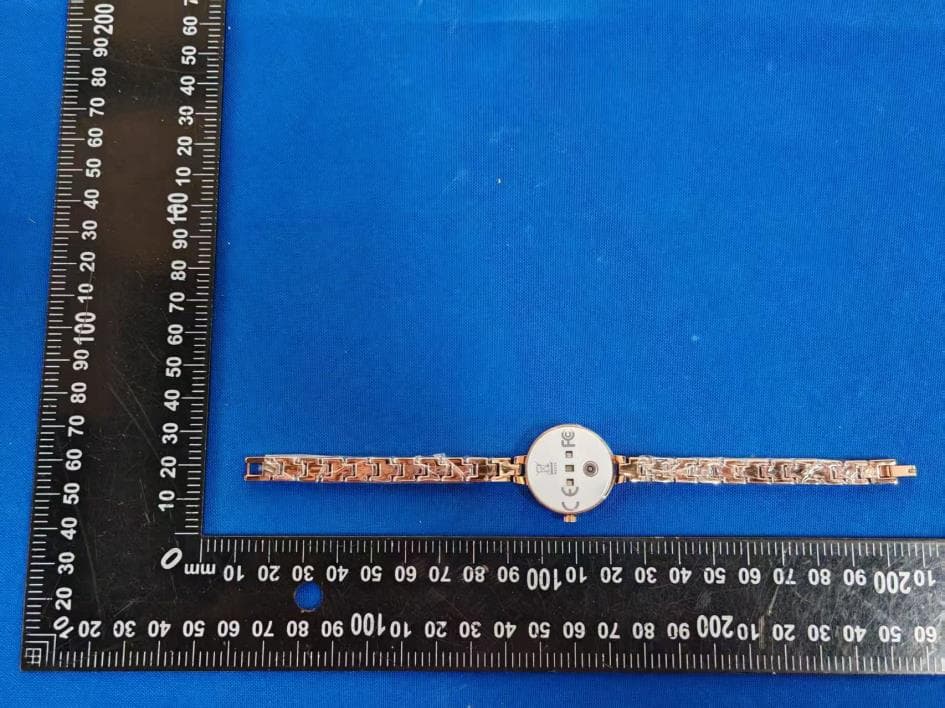 smart bracelet - FCC ID 2BCKX-L6 - Shenzhen Daiku Technology Co., Ltd. (2)