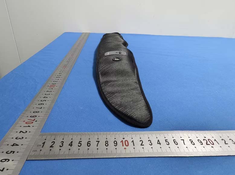 AI Sleep Mask - FCC ID 2BD36-H-E012 - GUANGDONG HYPNUSE BIOTECHNOLOGY CO.,LTD (2)