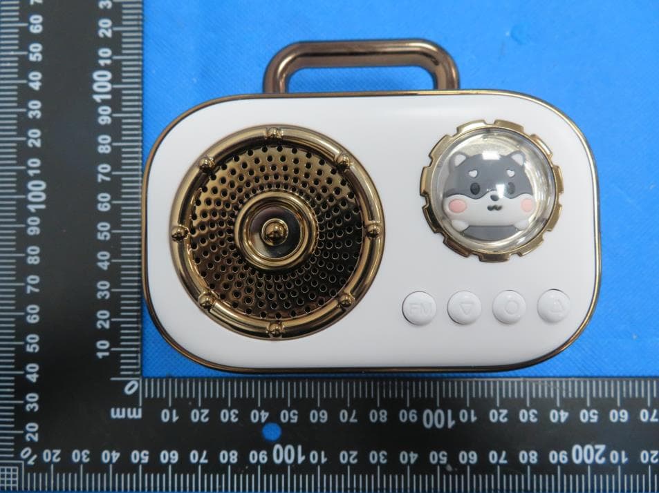 Karaoke Po Space Capsule Audio - FCC ID 2BD7P-DZ015 - ShenZhen WEIZHI Technology Co., Ltd (2)