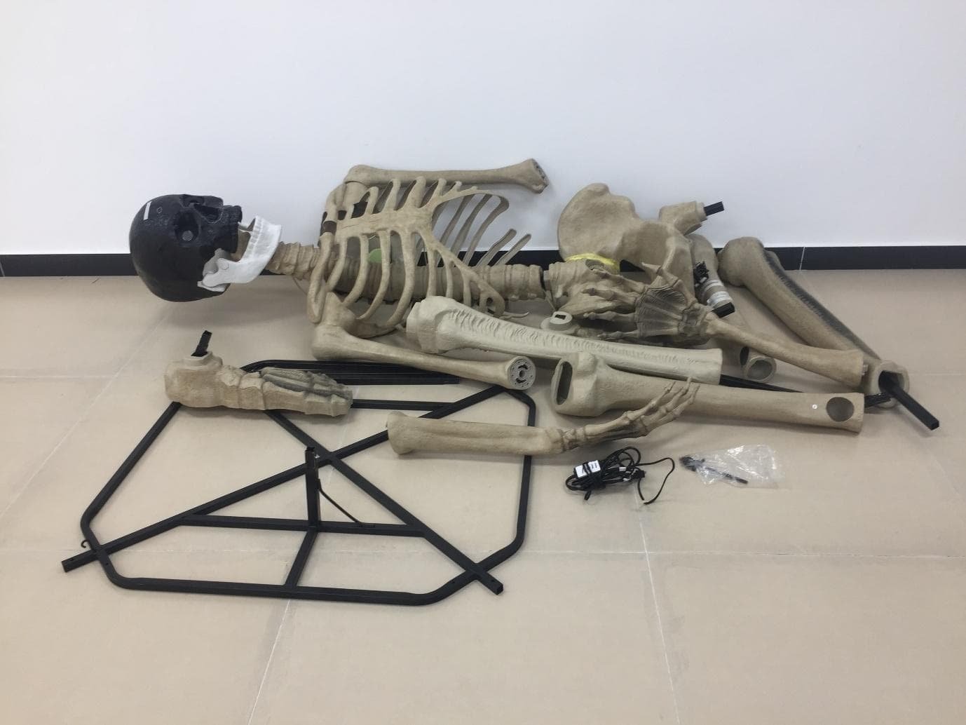 12 FT APP Skelly - FCC ID 2BEA3-25555 - Seasonal Visions International Co.,Ltd