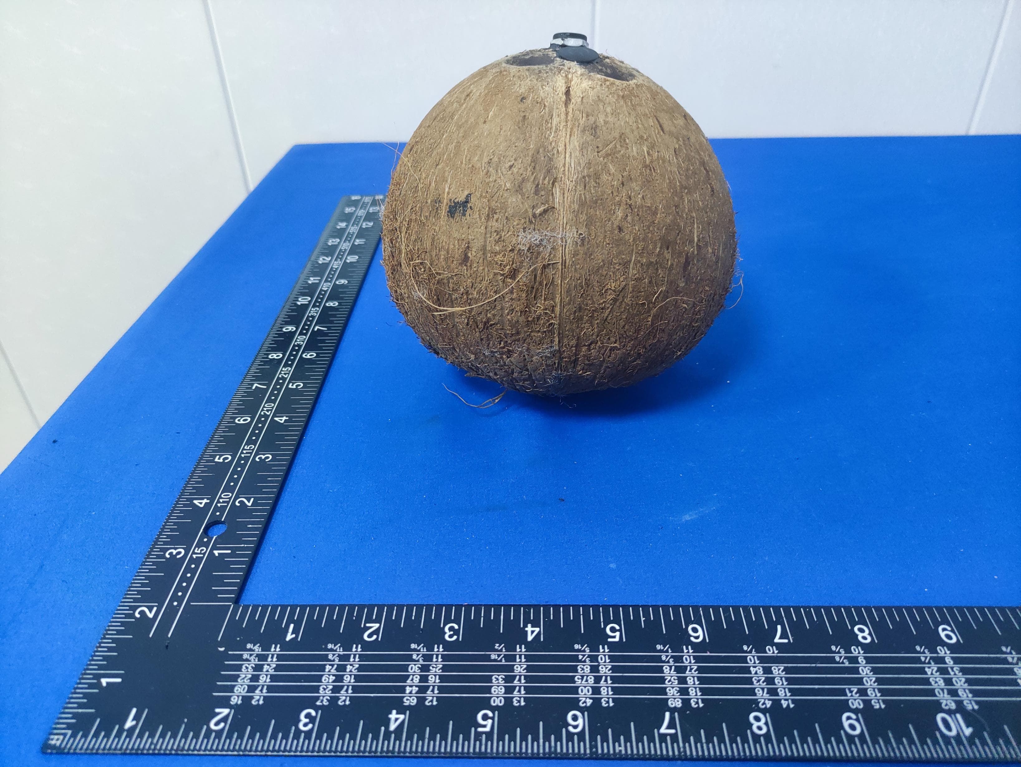 Coconut Speaker - FCC ID 2BEGP-CCB15BT20 - Polsek