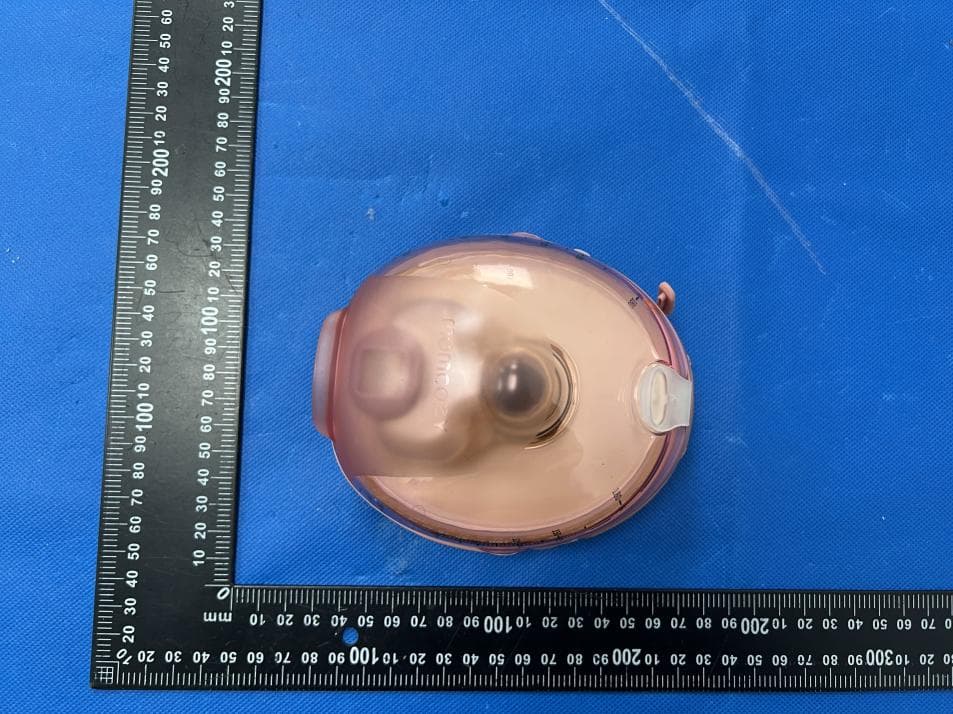 Wearable Breast Pump - FCC ID 2BENK-BP4201 - Shenzhen Root Innovation Technology Co., Ltd. (2)